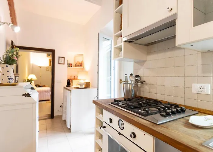 Capponi Deluxe Apartment Florence